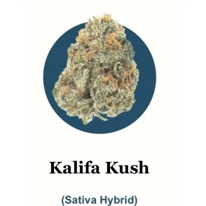 Khalifa Kush THC-A Flower (1-pound packs)