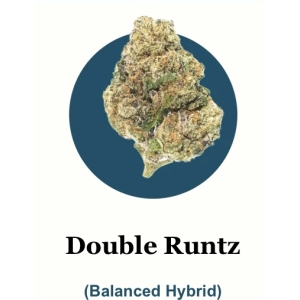 Double Runtz THC-A Flower (1-pound packs)