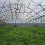 Loathing and Fear Distributing Logo