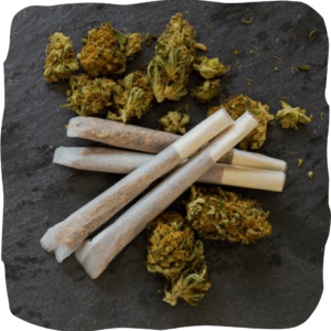 Cannabis Rolls 200 pcs